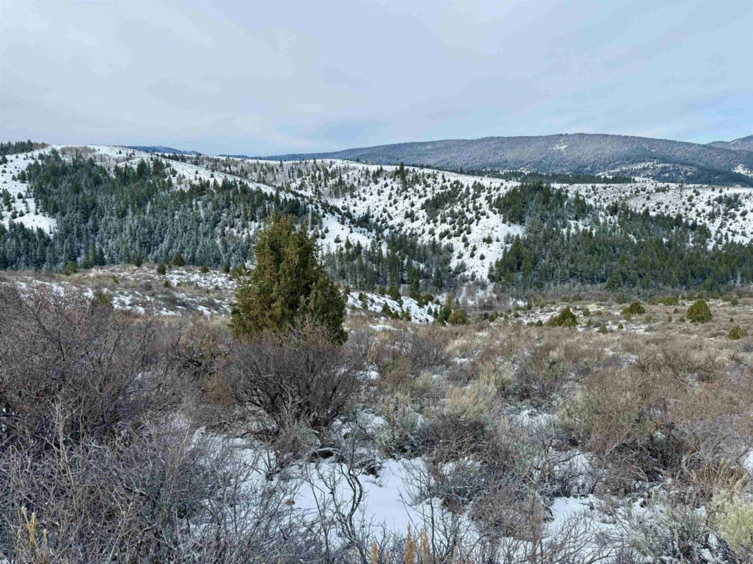 LOT 11 BLK 6 THUNDER MTN RD, LAVA HOT SPRINGS, ID 83246, photo 1 of 10