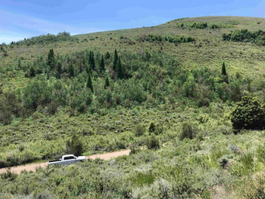 TBD SLEIGHT CANYON RD, PARIS, ID 83261 - Image 1