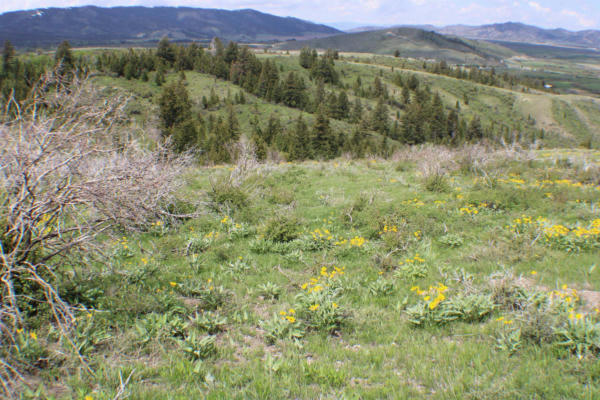 0042 CARIBOU VILLAGE SUBDIVISION, PHASE 1, BLOCK 2,, SODA SPRINGS, ID 83276, photo 2 of 17