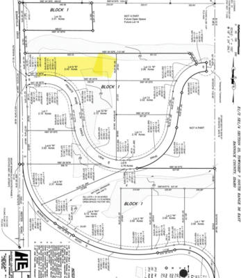 LOT 9 BONNEVILLE RD, INKOM, ID 83245, photo 3 of 4