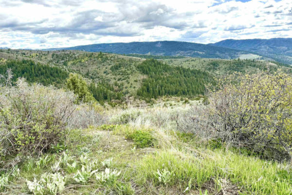 LOT 11 BLK 6 THUNDER MTN RD, LAVA HOT SPRINGS, ID 83246, photo 3 of 16